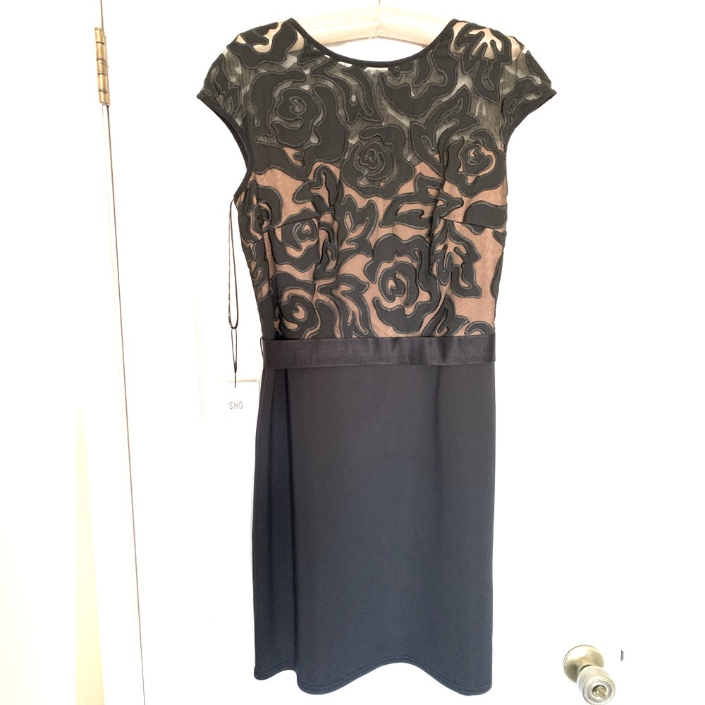 Short Black Party Dress Lace Illusion Tadashi Shoji Sheer Bodice Cap Sleeves